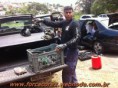 /album/galeria-de-fotos/jogo-13fev2011-area-nova-17-jpg/